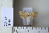  ( - CCDB-11133-H11)  @12 [ ] Copyright  B. Zlatkov 2011 Unspecified