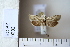  ( - CCDB-11134-A07)  @12 [ ] Copyright  B. Zlatkov 2011 Unspecified