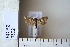  ( - CCDB-11134-B05)  @12 [ ] Copyright  B. Zlatkov 2011 Unspecified