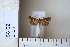 ( - CCDB-11134-B06)  @12 [ ] Copyright  B. Zlatkov 2011 Unspecified