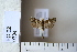  ( - CCDB-11134-B07)  @13 [ ] Copyright  B. Zlatkov 2011 Unspecified