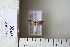  ( - CCDB-11134-C11)  @12 [ ] Copyright  B. Zlatkov 2011 Unspecified