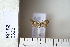  ( - CCDB-11134-D01)  @12 [ ] Copyright  B. Zlatkov 2011 Unspecified