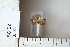  ( - CCDB-11134-D02)  @12 [ ] Copyright  B. Zlatkov 2011 Unspecified