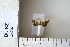  ( - CCDB-11134-D03)  @13 [ ] Copyright  B. Zlatkov 2011 Unspecified