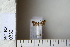  ( - CCDB-11134-D11)  @12 [ ] Copyright  B. Zlatkov 2011 Unspecified