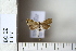  ( - CCDB-11134-H08)  @12 [ ] Copyright  B. Zlatkov 2011 Unspecified