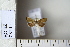  ( - CCDB-11134-H10)  @12 [ ] Copyright  B. Zlatkov 2011 Unspecified