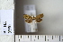 ( - CCDB-11134-H11)  @12 [ ] Copyright  B. Zlatkov 2011 Unspecified