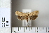  ( - CCDB-11135-A06)  @12 [ ] Copyright  B. Zlatkov 2011 Unspecified