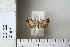  ( - CCDB-11135-B07)  @13 [ ] Copyright  B. Zlatkov 2011 Unspecified