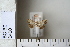  ( - CCDB-11135-B08)  @12 [ ] Copyright  B. Zlatkov 2011 Unspecified
