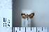  ( - CCDB-11135-C01)  @13 [ ] Copyright  B. Zlatkov 2011 Unspecified