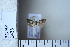  ( - CCDB-11135-E05)  @12 [ ] Copyright  B. Zlatkov 2011 Unspecified