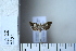  ( - CCDB-11135-E06)  @12 [ ] Copyright  B. Zlatkov 2011 Unspecified