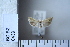  ( - CCDB-11135-E11)  @13 [ ] Copyright  B. Zlatkov 2011 Unspecified