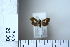  ( - CCDB-11135-F09)  @12 [ ] Copyright  B. Zlatkov 2011 Unspecified
