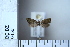  ( - CCDB-11135-G04)  @11 [ ] Copyright  B. Zlatkov 2011 Unspecified