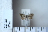  ( - CCDB-11135-G06)  @12 [ ] Copyright  B. Zlatkov 2011 Unspecified