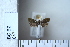  ( - CCDB-11135-H07)  @11 [ ] Copyright  B. Zlatkov 2011 Unspecified