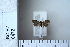  ( - CCDB-11135-H08)  @12 [ ] Copyright  B. Zlatkov 2011 Unspecified