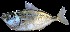  ( - F25)  @11 [ ] Unspecified (default): All Rights Reserved  Simon G. Alcantara Unspecified