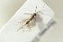  ( - HYMNI1881)  @11 [ ] CreativeCommons - Attribution Non-Commercial Share-Alike (2017) Arnstein Staverlokk Norwegian Institute of Nature Research