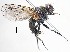  ( - BUIC-DIP1708)  @13 [ ] CreativeCommons - Attribution Non-Commercial Share-Alike (2019) Jade Savage Bishop's University