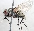  ( - BUIC-DIP1748)  @14 [ ] CreativeCommons - Attribution Non-Commercial Share-Alike (2019) Jade Savage Bishop's University