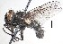 ( - BUIC-DIP1775)  @11 [ ] CreativeCommons - Attribution Non-Commercial Share-Alike (2019) Jade Savage Bishop's University