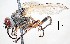  ( - BUIC-DIP1782)  @11 [ ] CreativeCommons - Attribution Non-Commercial Share-Alike (2019) Jade Savage Bishop's University