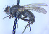  ( - BUIC-DIP1839)  @11 [ ] CreativeCommons - Attribution Non-Commercial Share-Alike (2020) Jade Savage Bishop's University