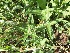  ( - SO108162)  @11 [ ] by-nc-nd  Unspecified Unspecified