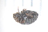  ( - BLA_30.05.17_Co1)  @11 [ ] CreativeCommons - Attribution Non-Commercial Share-Alike (2017) Unspecified Institut de Recherche sur la Biologie de l'Insecte