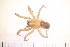  ( - BS2_12.05.16_AR2)  @11 [ ] CreativeCommons - Attribution Non-Commercial Share-Alike (2017) Unspecified Institut de Recherche sur la Biologie de l'Insecte
