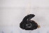  ( - CM4_15.05.17_CO17)  @12 [ ] CreativeCommons - Attribution Non-Commercial Share-Alike (2017) Unspecified Institut de Recherche sur la Biologie de l'Insecte