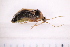  ( - CV1_03.05.16HO1)  @11 [ ] CreativeCommons - Attribution Non-Commercial Share-Alike (2017) Unspecified Institut de Recherche sur la Biologie de l'Insecte