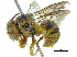  ( - 06713G03-OMN)  @11 [ ] CreativeCommons - Attribution (2015) CBG Photography Group Centre for Biodiversity Genomics
