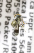  (Lasioglossum DiaPER04 - CCDB-03753 B06)  @11 [ ] CreativeCommons - Attribution Non-Commercial Share-Alike (2010) Unspecified York University
