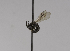  ( - CCDB-01556 B03)  @13 [ ] CreativeCommons - Attribution Non-Commercial Share-Alike (2010) Unspecified York University