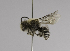  ( - CCDB-01556 C01)  @11 [ ] CreativeCommons - Attribution Non-Commercial Share-Alike (2010) Unspecified York University