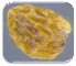  (Orobanche cernua - 30152-61)  @11 [ ] No Rights Reserved (2017) Radi Aly Agricultural Research Organization, Israel