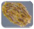  (Orobanche crenata - 30152-86)  @11 [ ] No Rights Reserved (2017) Radi Aly Agricultural Research Organization, Israel