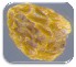  ( - 30152-95)  @11 [ ] No Rights Reserved (2017) Radi Aly Agricultural Research Organization, Israel