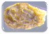  ( - 30152-85)  @11 [ ] No Rights Reserved (2017) Radi Aly Agricultural Research Organization, Israel