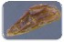  ( - 30152-56)  @11 [ ] No Rights Reserved (2017) Radi Aly Agricultural Research Organization, Israel