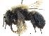  ( - 06717B07-YT)  @14 [ ] CreativeCommons - Attribution (2015) CBG Photography Group Centre for Biodiversity Genomics