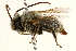  ( - 06732H02-CO)  @13 [ ] CreativeCommons - Attribution (2015) CBG Photography Group Centre for Biodiversity Genomics