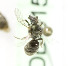 ( - B01558C01-TX)  @11 [ ] CreativeCommons - Attribution Non-Commercial Share-Alike (2010) Unspecified York University