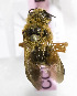  (Megachile KGZ04 - B03757F04-KGZ)  @11 [ ] CreativeCommons - Attribution Non-Commercial Share-Alike (2010) Unspecified York University